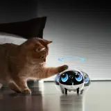 Keeping Pets Happy While Away
