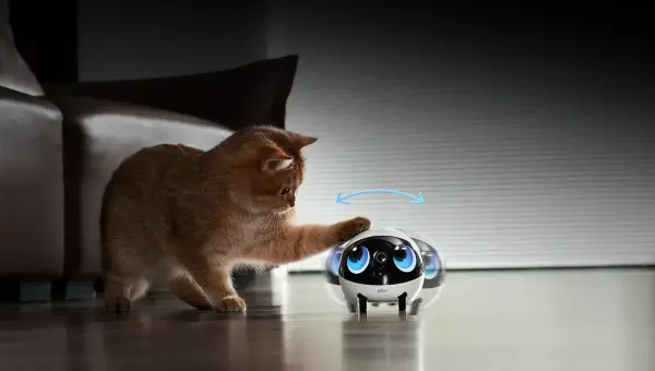 Keeping Pets Happy While Away
