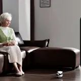 A Guide to Smart Companion Robots