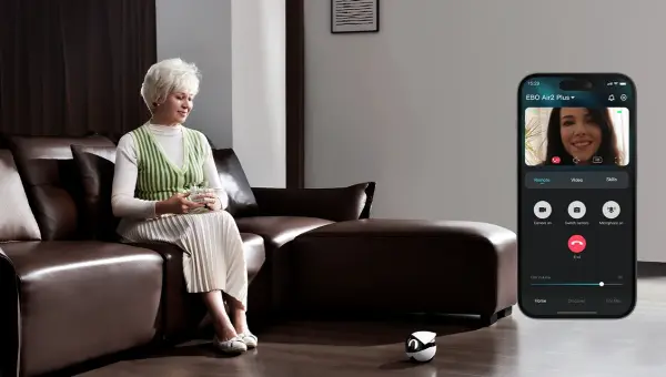 A Guide to Smart Companion Robots